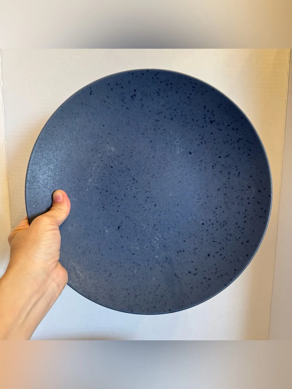 RARE Crate Barrel Craft Indigo Stoneware Coupe Dinner Plate 11